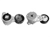 <b>FORD:</b> ACD#38118<br/>